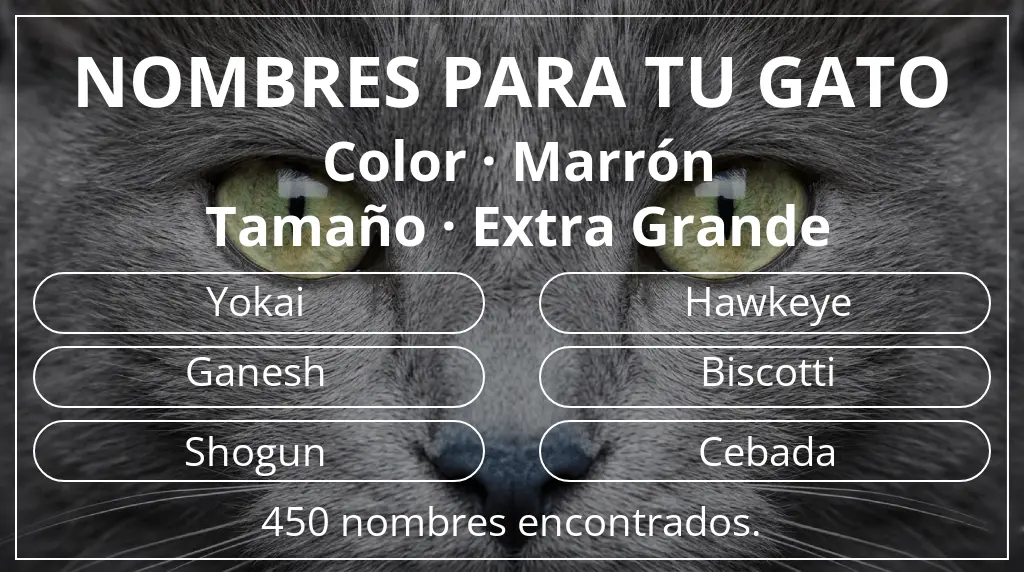 Nombres para gatos inspirados en color marrón y tamaño extra grande
