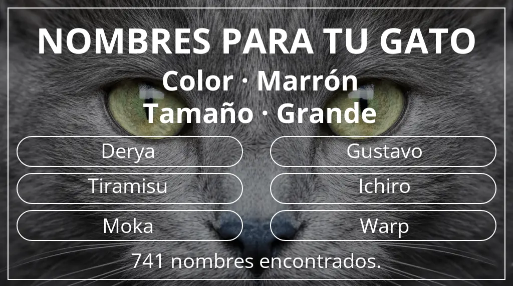Nombres felinos inspirados en color marrón y tamaño grande