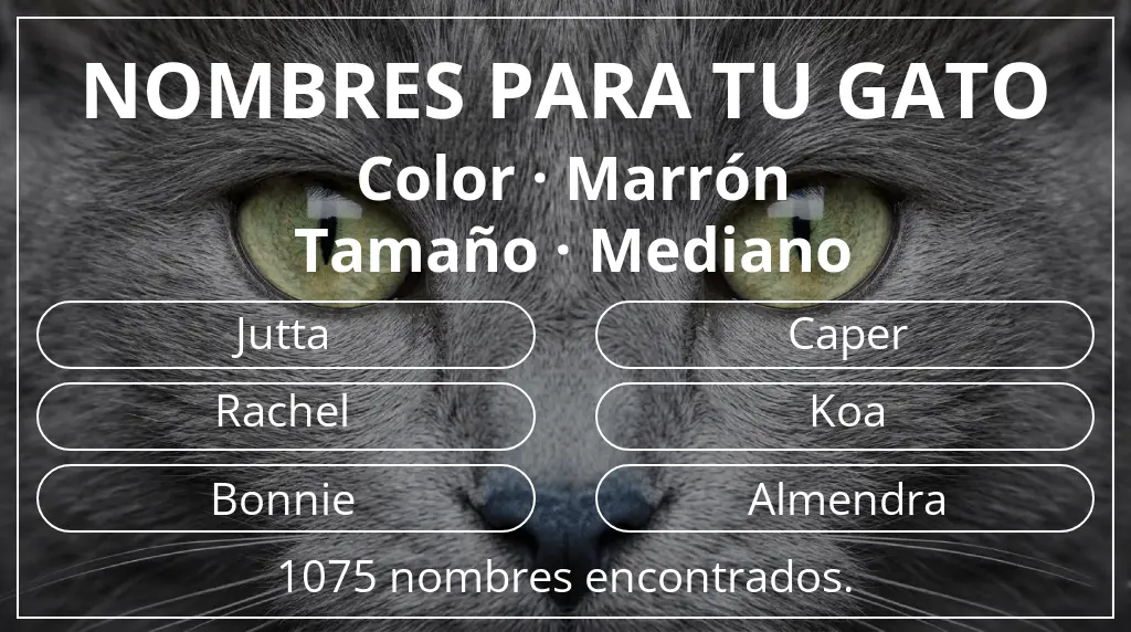 Nombres felinos basados en color marrón y tamaño mediano
