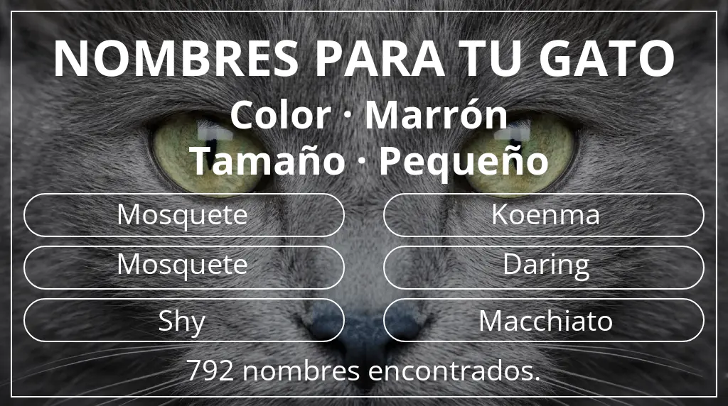 Nombres para gatos relacionados con color marrón y tamaño pequeño