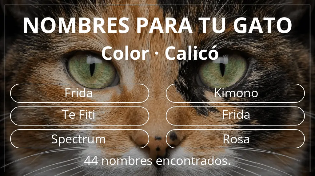 Nombres felinos inspirados en color calicó