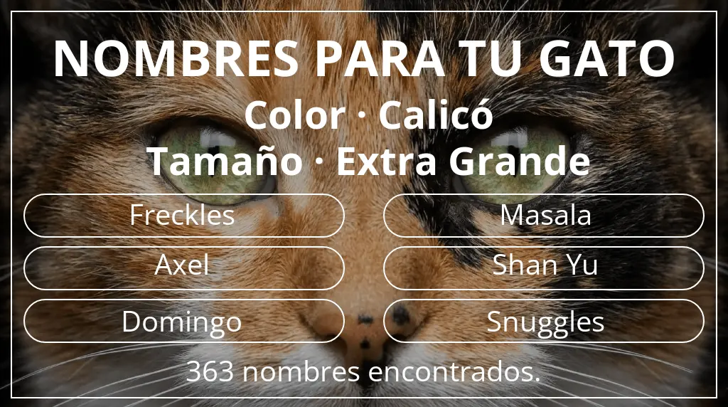 Nombres felinos inspirados en color calicó y tamaño extra grande
