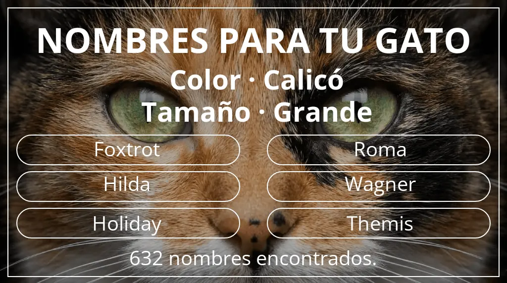 Nombres para gatos basados en color calicó y tamaño grande