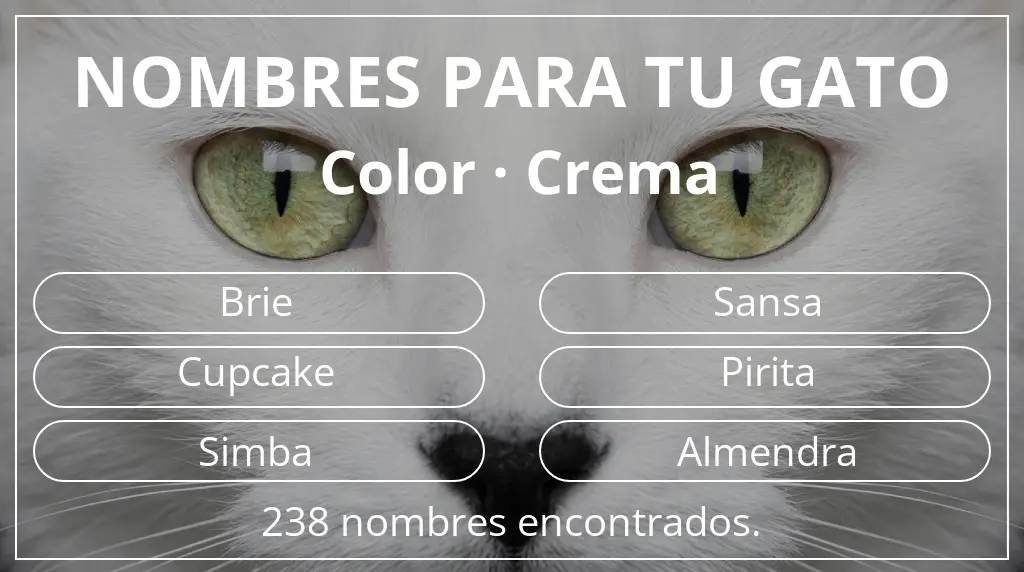 Nombres felinos inspirados en color crema
