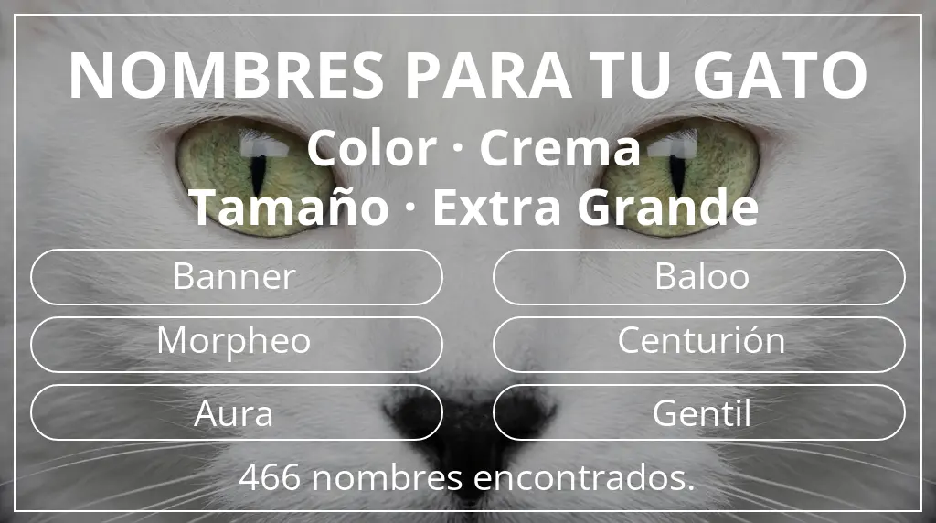 Nombres felinos inspirados en color crema y tamaño extra grande
