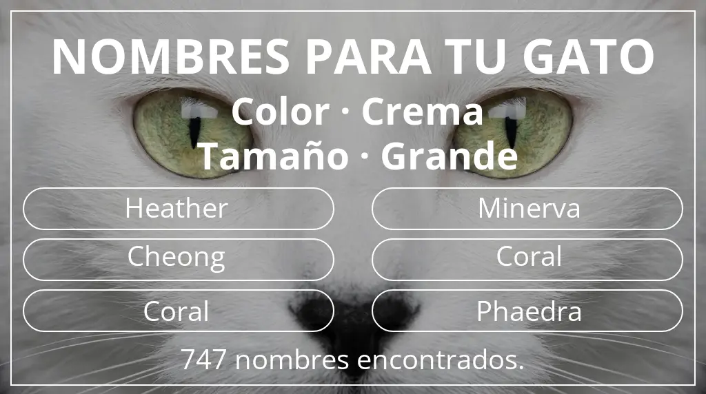 Nombres felinos basados en color crema y tamaño grande