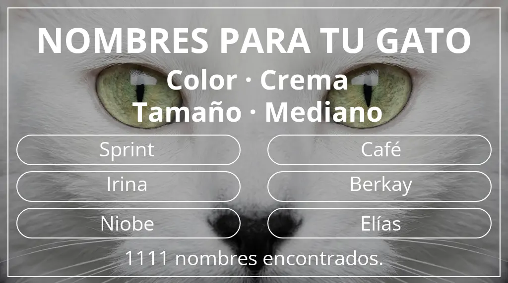 Nombres felinos basados en color crema y tamaño mediano
