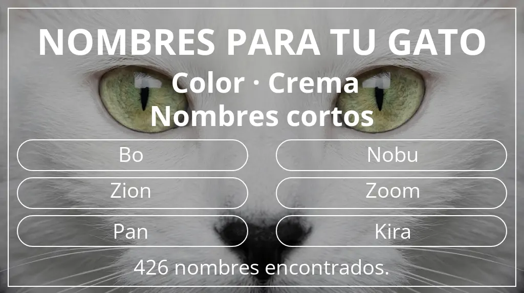 Nombres para gatos inspirados en color crema y longitud del nombre corto (2-4)