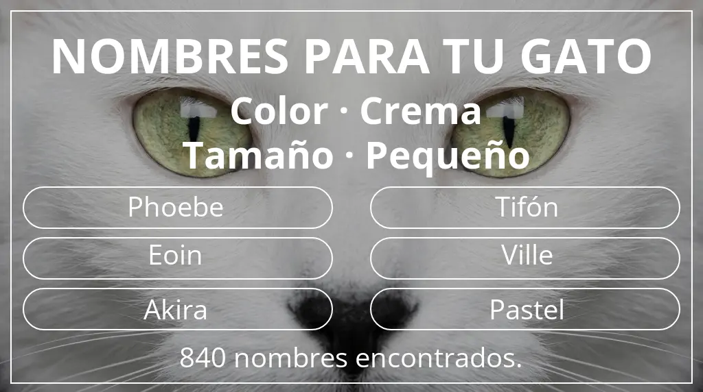 Nombres para gatos relacionados con color crema y tamaño pequeño
