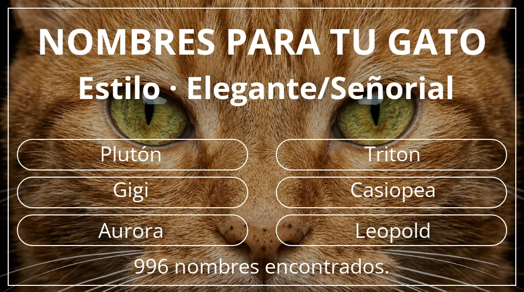 Nombres felinos inspirados en estilo elegante/señorial