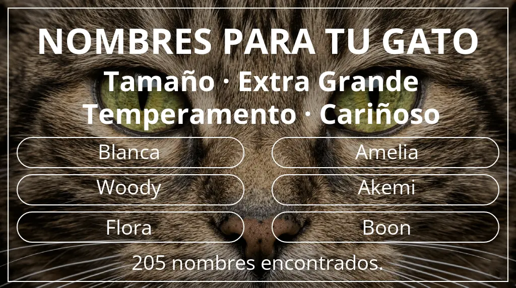 Nombres para gatos inspirados en tamaño extra grande y temperamento cariñoso