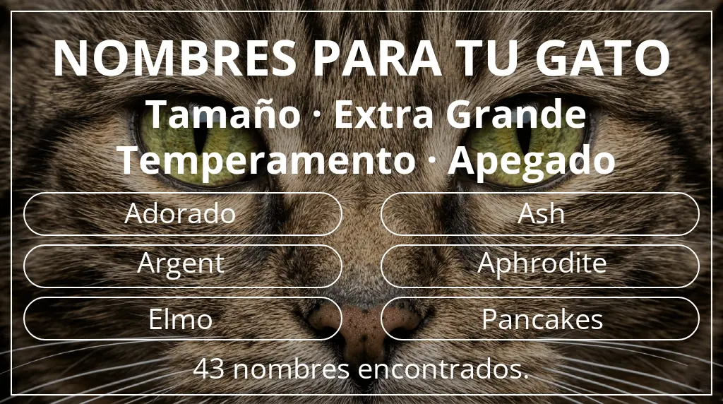 Nombres felinos basados en tamaño extra grande y temperamento apegado
