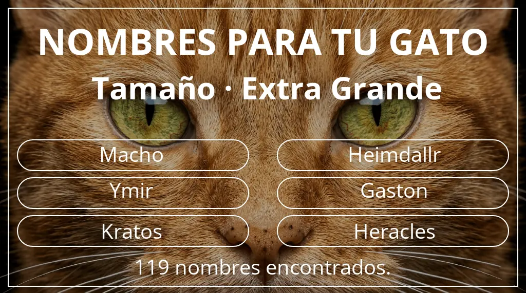 Nombres para gatos basados en tamaño extra grande