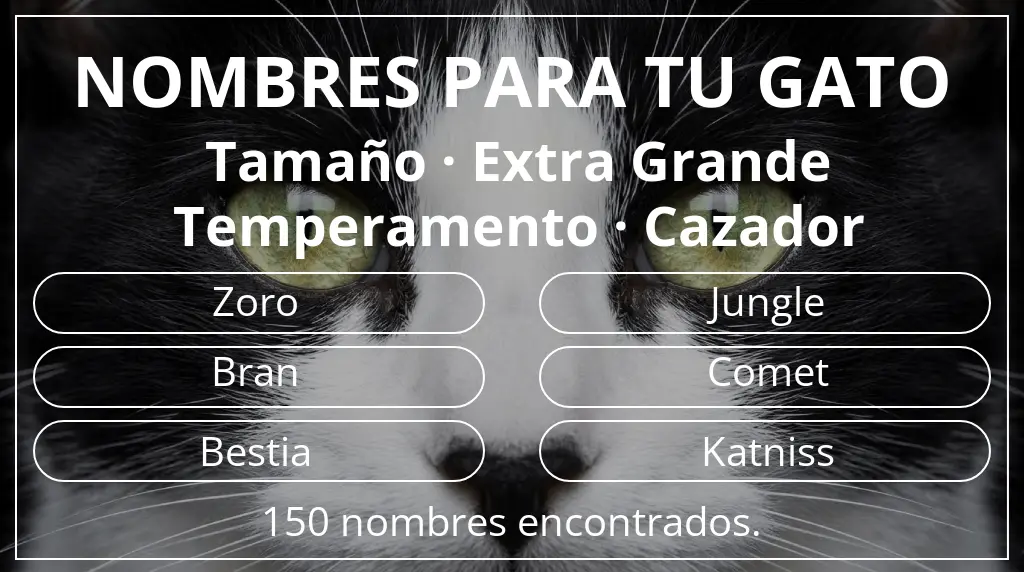 Nombres para gatos basados en tamaño extra grande y temperamento cazador