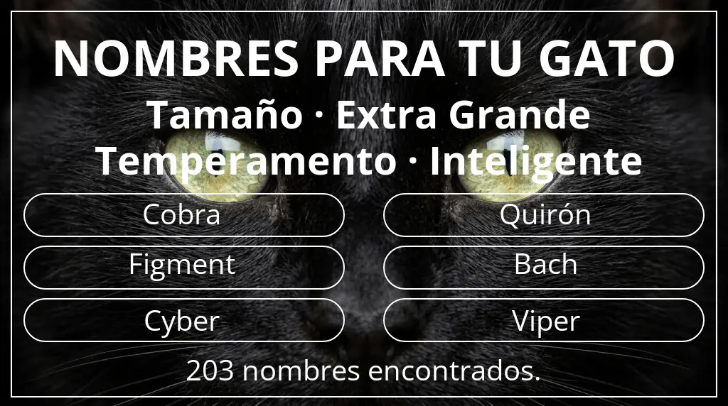 Nombres para gatos relacionados con tamaño extra grande y temperamento inteligente