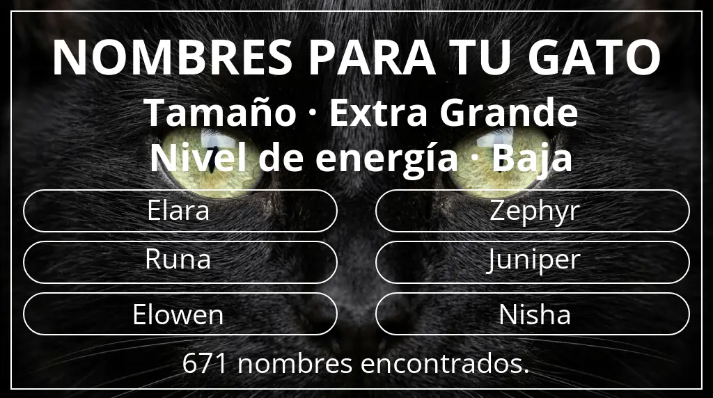 Nombres para gatos inspirados en tamaño extra grande y nivel de energía baja