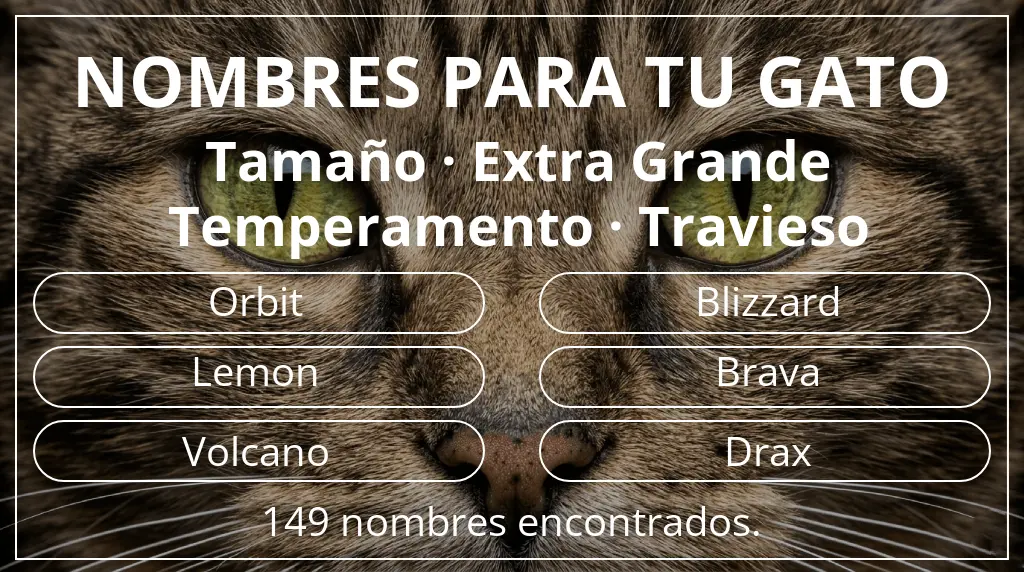 Nombres para gatos basados en tamaño extra grande y temperamento travieso