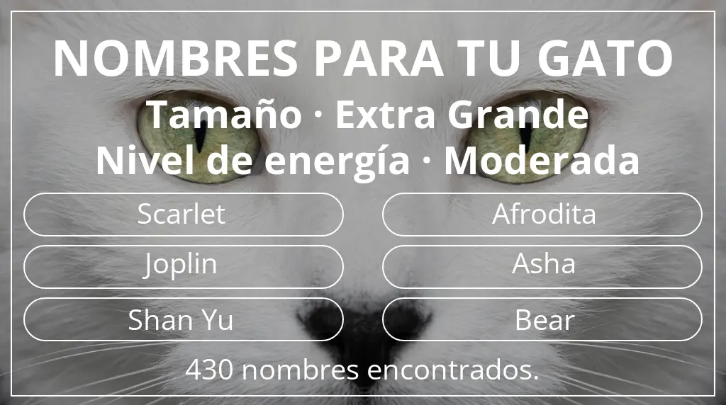 Nombres felinos relacionados con tamaño extra grande y nivel de energía moderada