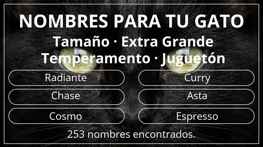 Nombres felinos basados en tamaño extra grande y temperamento juguetón