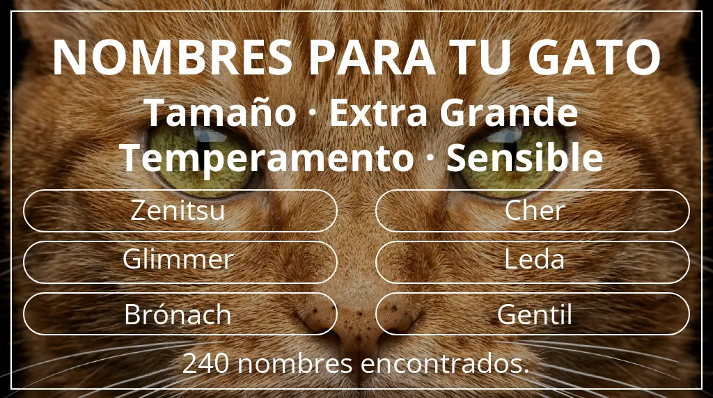 Nombres felinos relacionados con tamaño extra grande y temperamento sensible