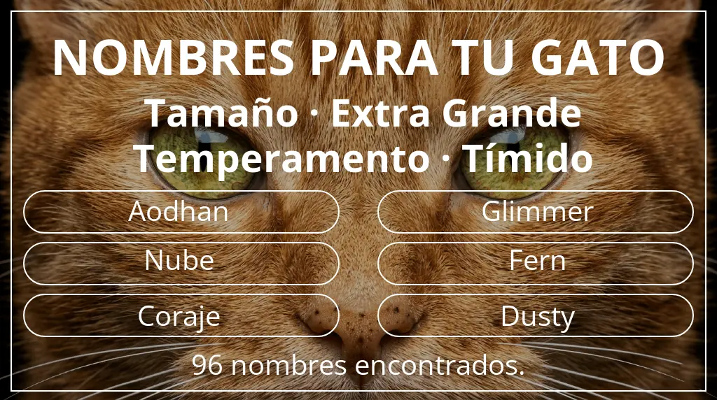 Nombres para gatos relacionados con tamaño extra grande y temperamento tímido