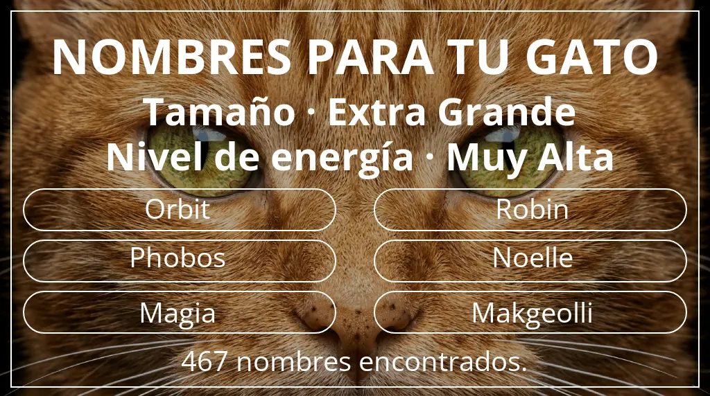 Nombres felinos relacionados con tamaño extra grande y nivel de energía muy alta