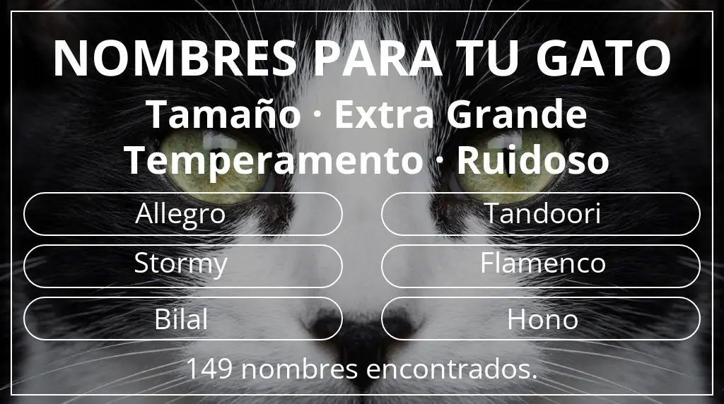 Nombres felinos basados en tamaño extra grande y temperamento ruidoso