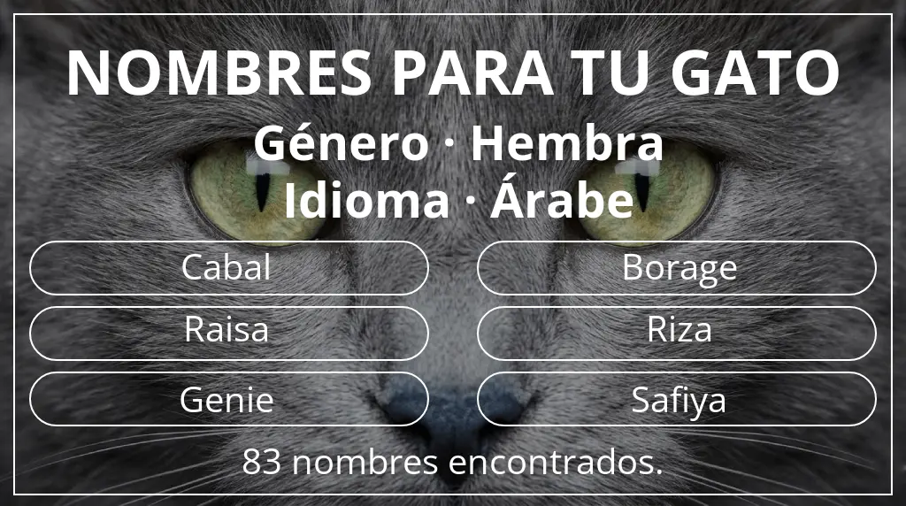 Nombres felinos inspirados en género hembra y idioma árabe