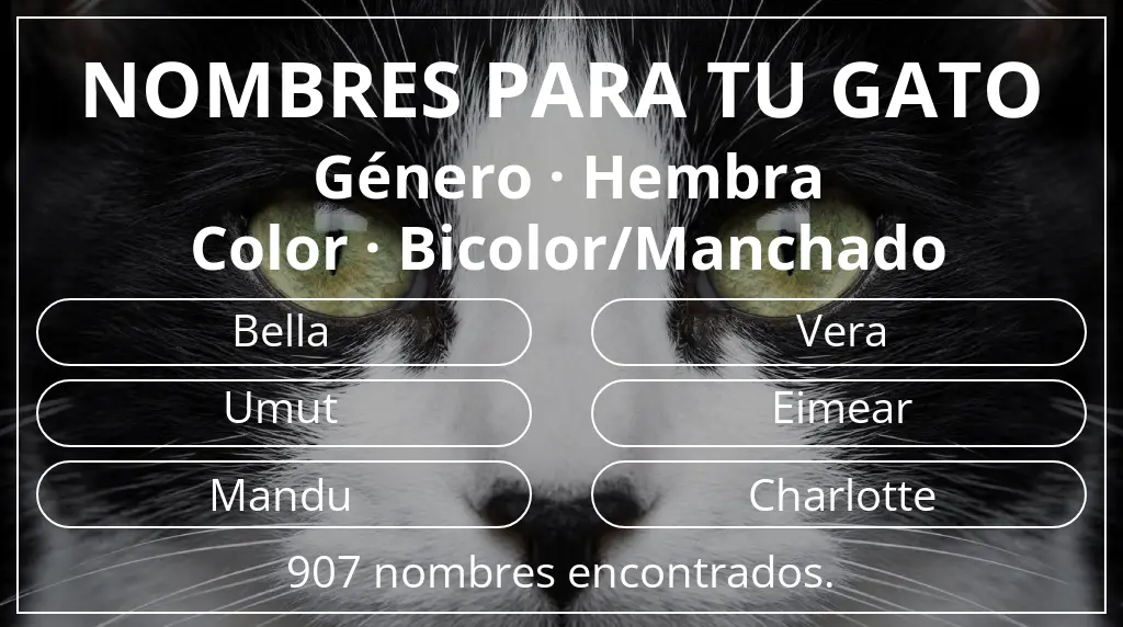 Nombres para gatos relacionados con género hembra y color bicolor/manchado
