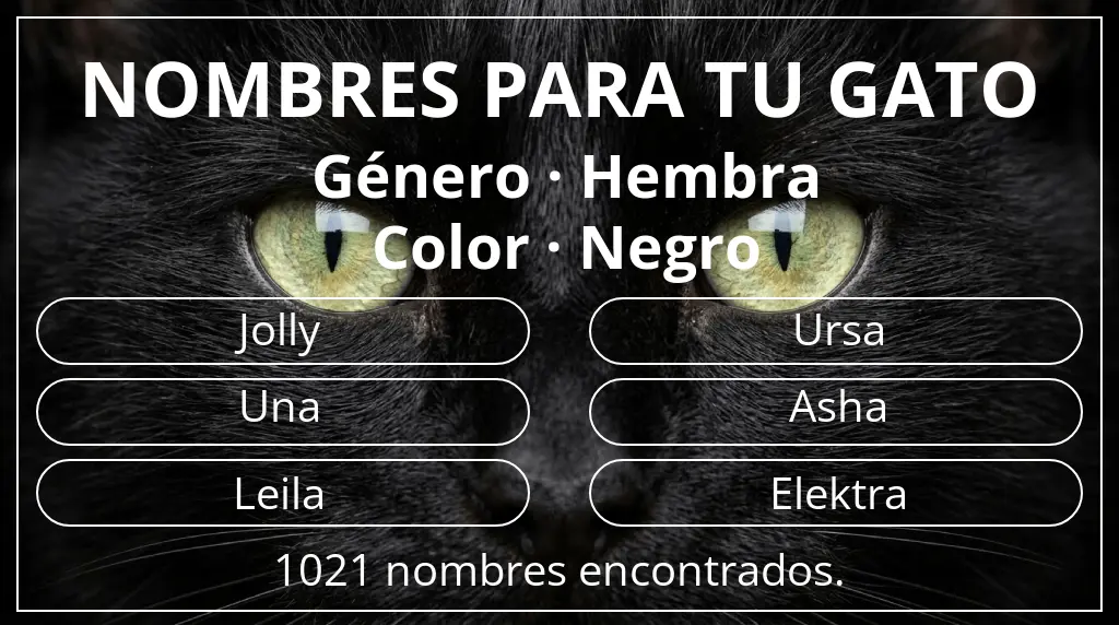 Nombres para gatos relacionados con género hembra y color negro