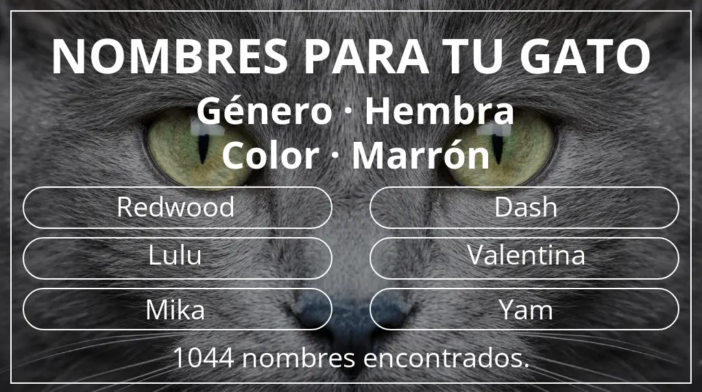Nombres para gatos inspirados en género hembra y color marrón