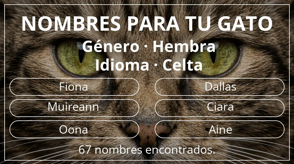 Nombres para gatos basados en género hembra y idioma celta