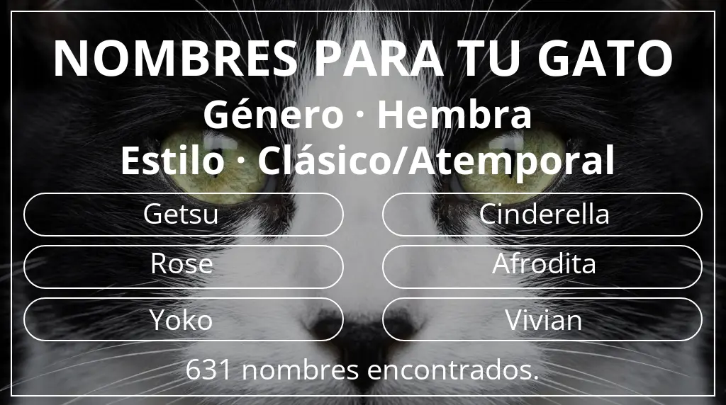Nombres para gatos relacionados con género hembra y estilo clásico/atemporal