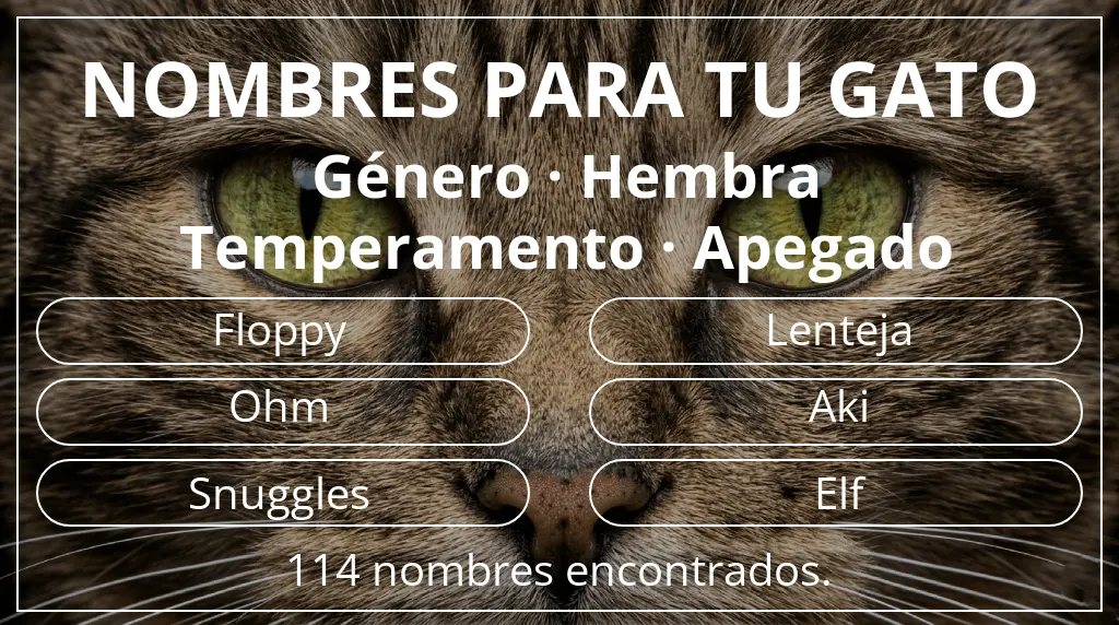 Nombres felinos relacionados con género hembra y temperamento apegado