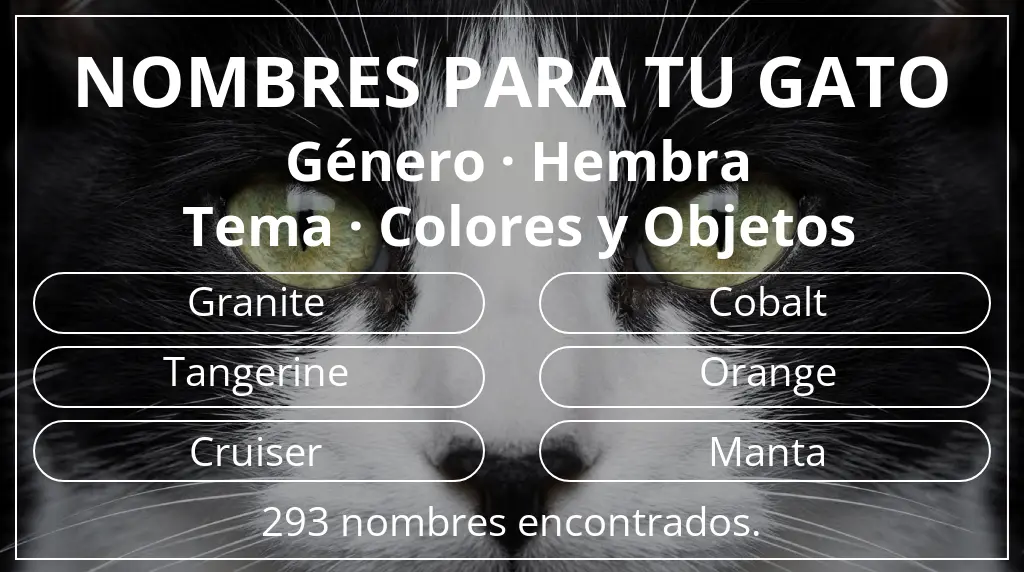 Nombres felinos basados en género hembra y tema colores y objetos