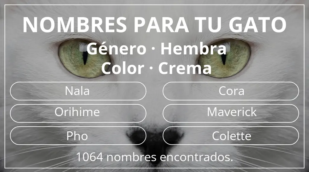 Nombres para gatos basados en género hembra y color crema