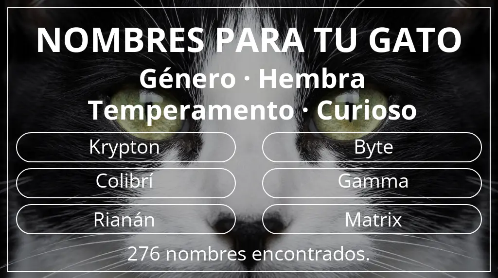 Nombres para gatos relacionados con género hembra y temperamento curioso
