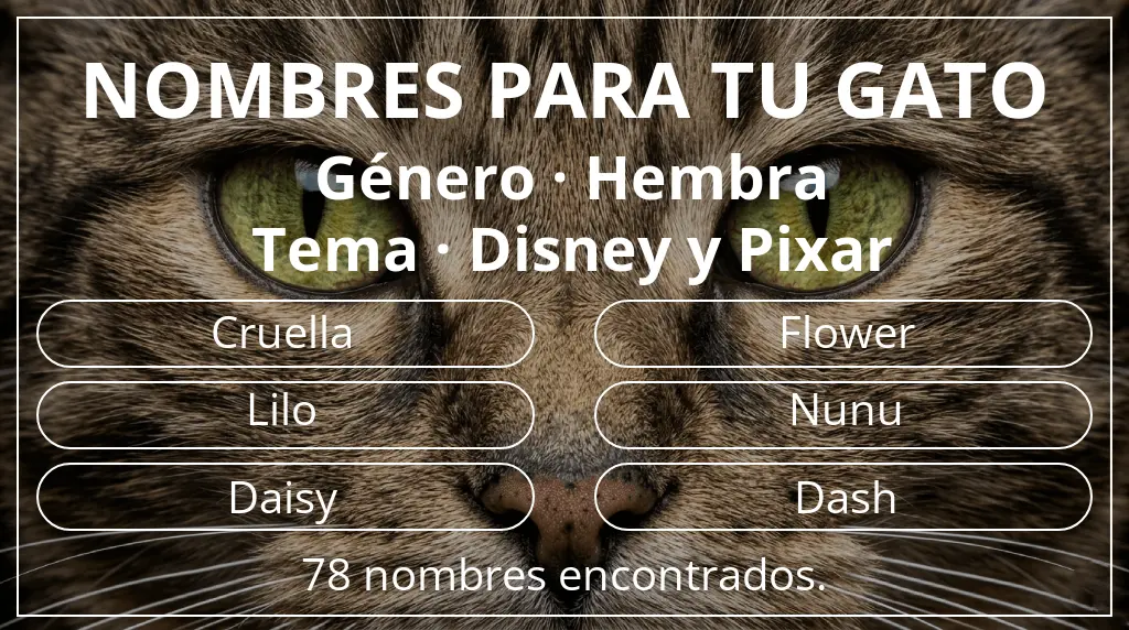 Nombres para gatos basados en género hembra y tema disney y pixar
