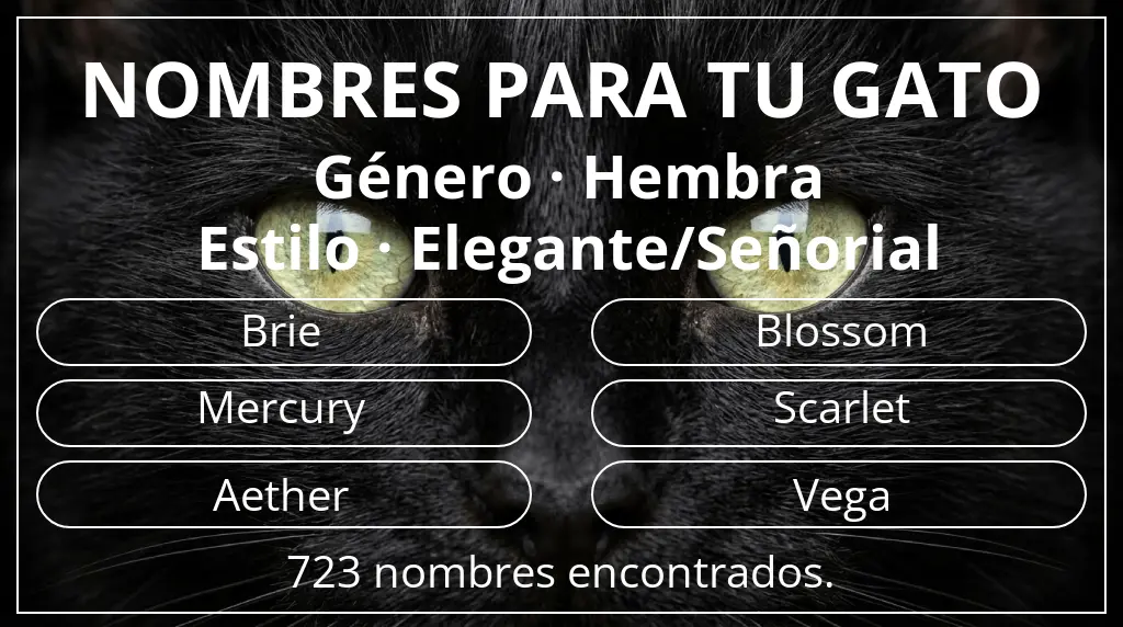 Nombres felinos inspirados en género hembra y estilo elegante/señorial