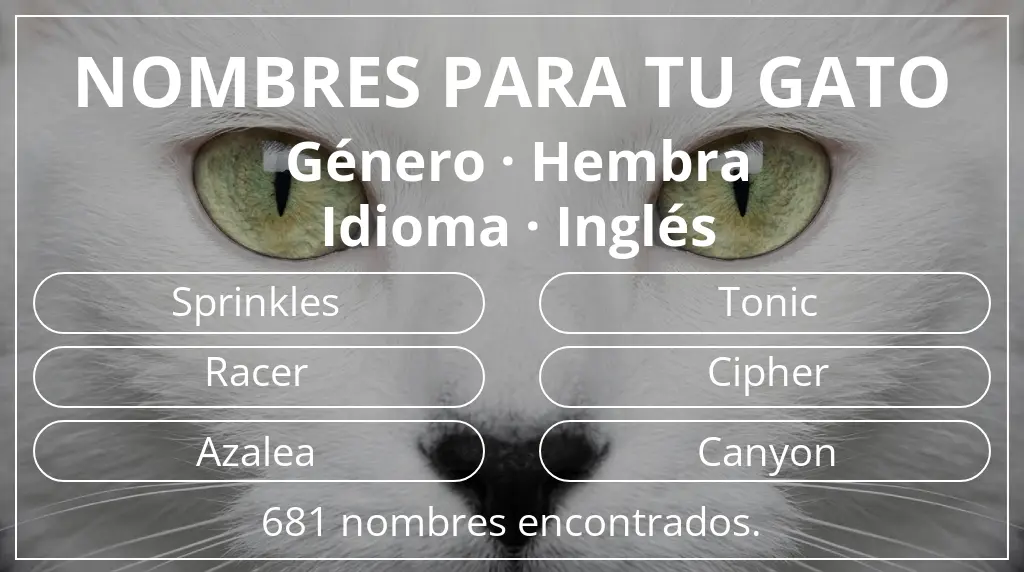 Nombres felinos inspirados en género hembra y idioma inglés