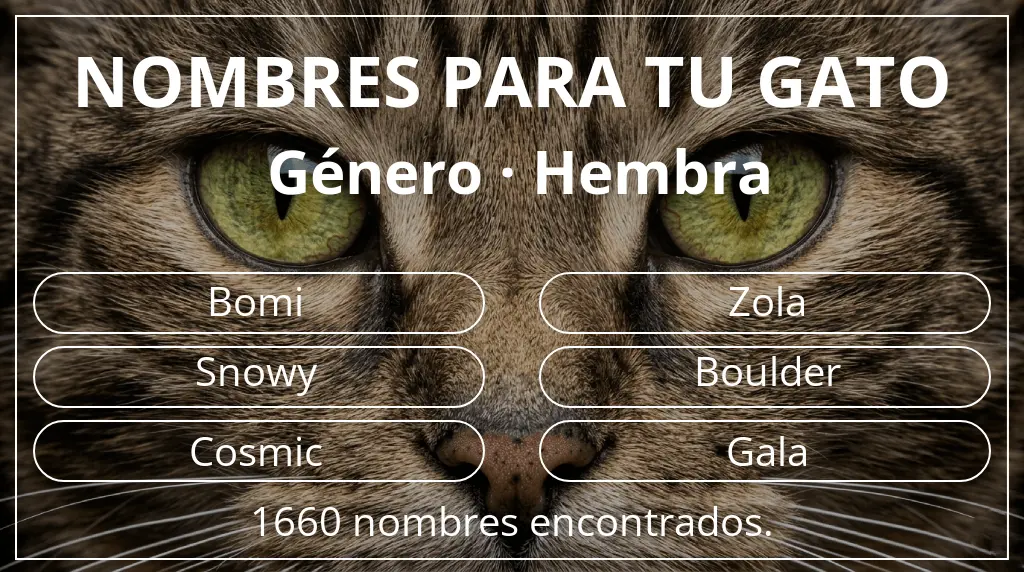Nombres felinos relacionados con género hembra