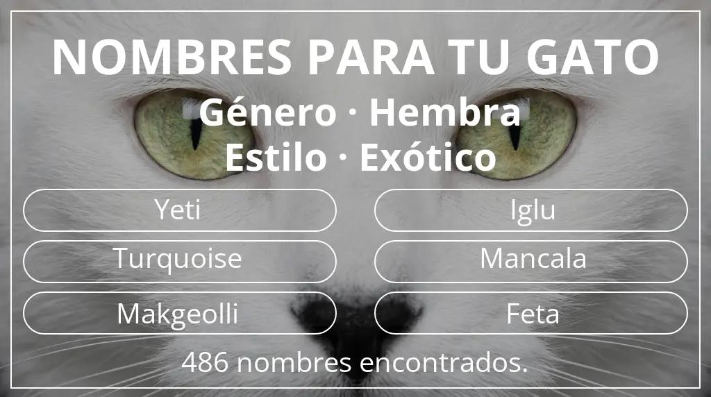 Nombres para gatos relacionados con género hembra y estilo exótico