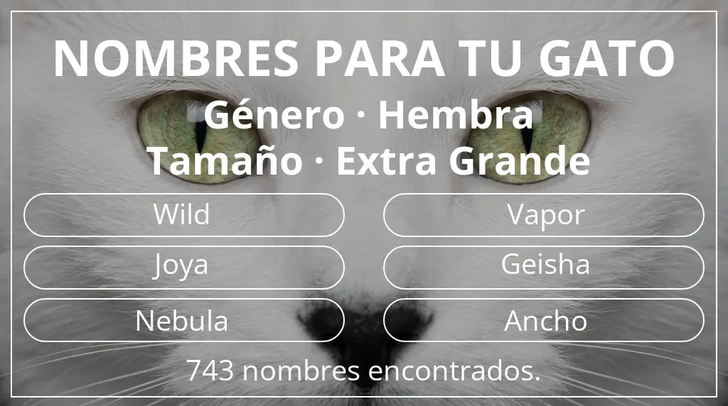 Nombres para gatos basados en género hembra y tamaño extra grande