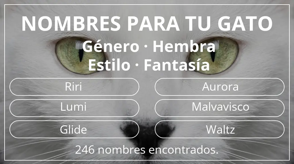 Nombres para gatos inspirados en género hembra y estilo fantasía