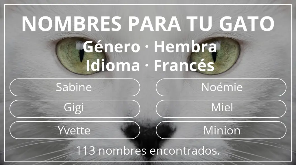 Nombres felinos basados en género hembra y idioma francés