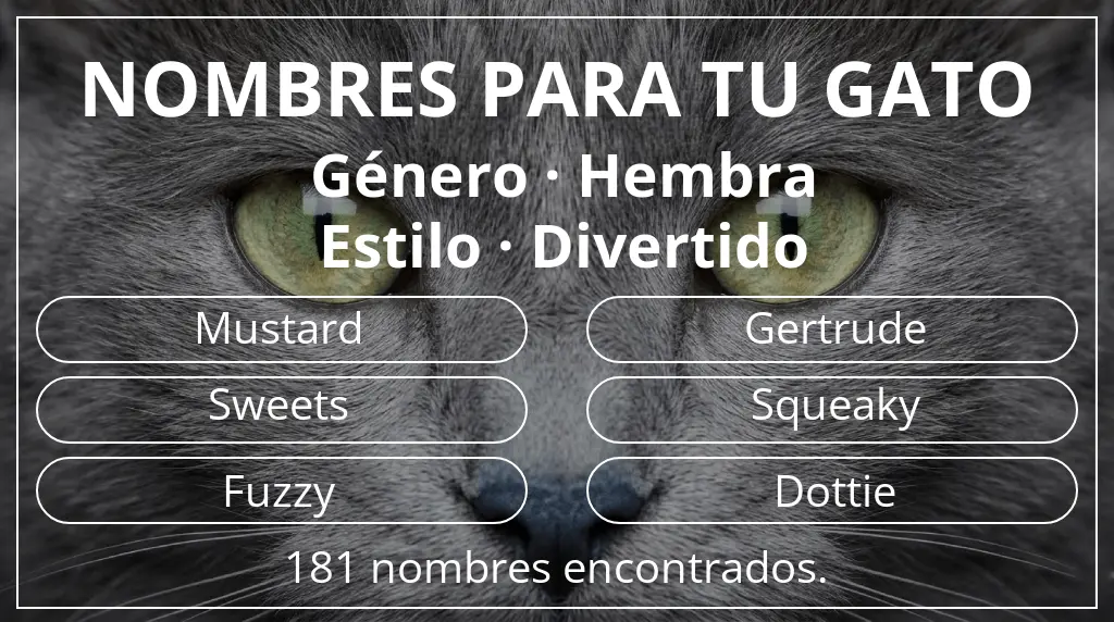 Nombres para gatos inspirados en género hembra y estilo divertido