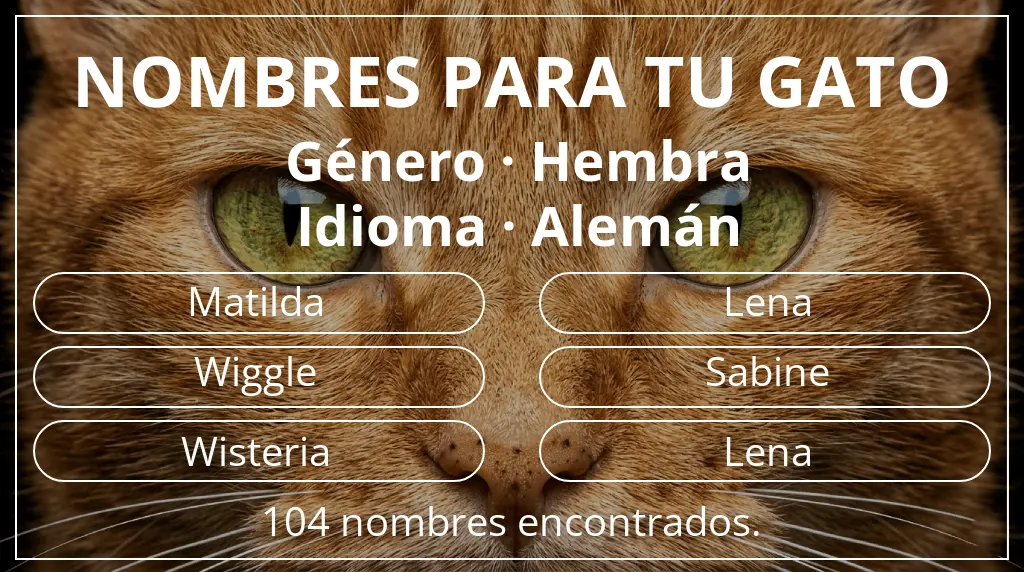 Nombres para gatos relacionados con género hembra y idioma alemán