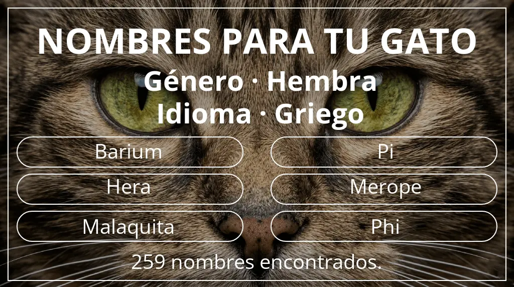 Nombres felinos basados en género hembra y idioma griego
