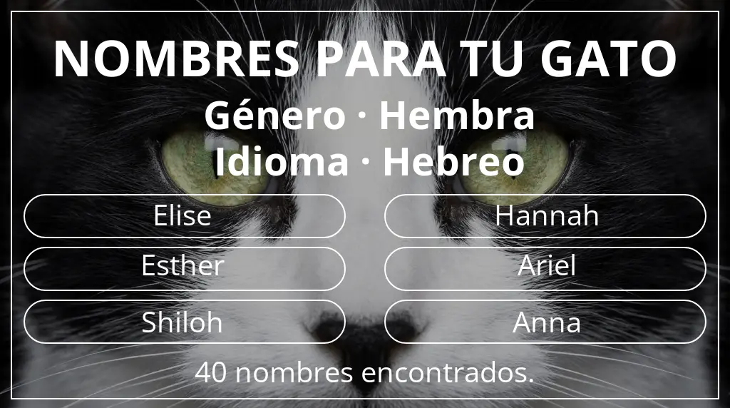 Nombres felinos basados en género hembra y idioma hebreo