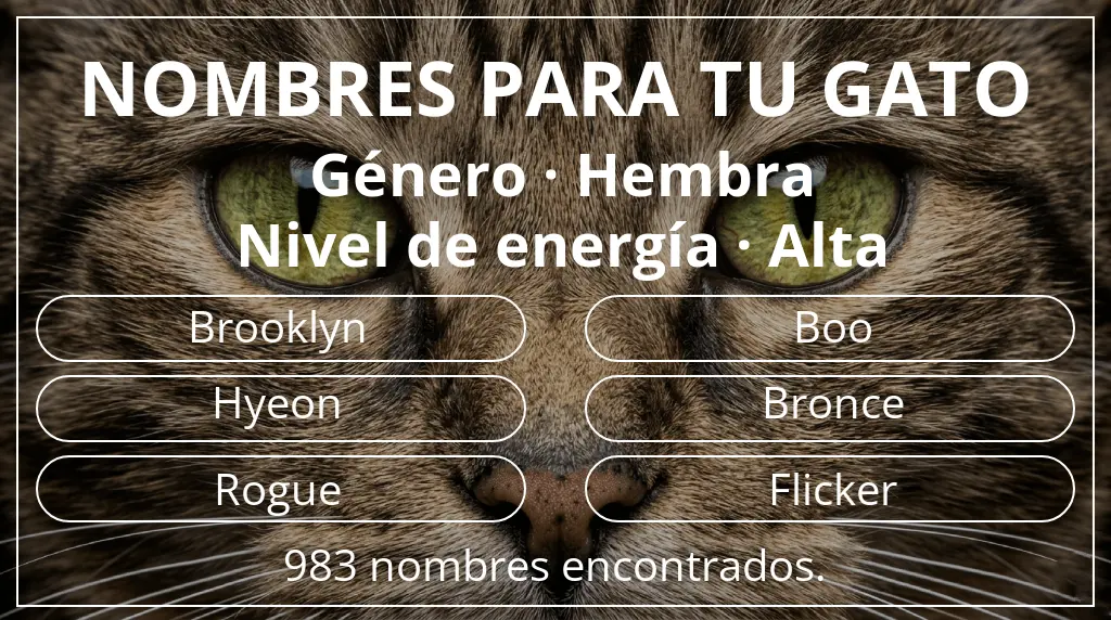 Nombres felinos relacionados con género hembra y nivel de energía alta